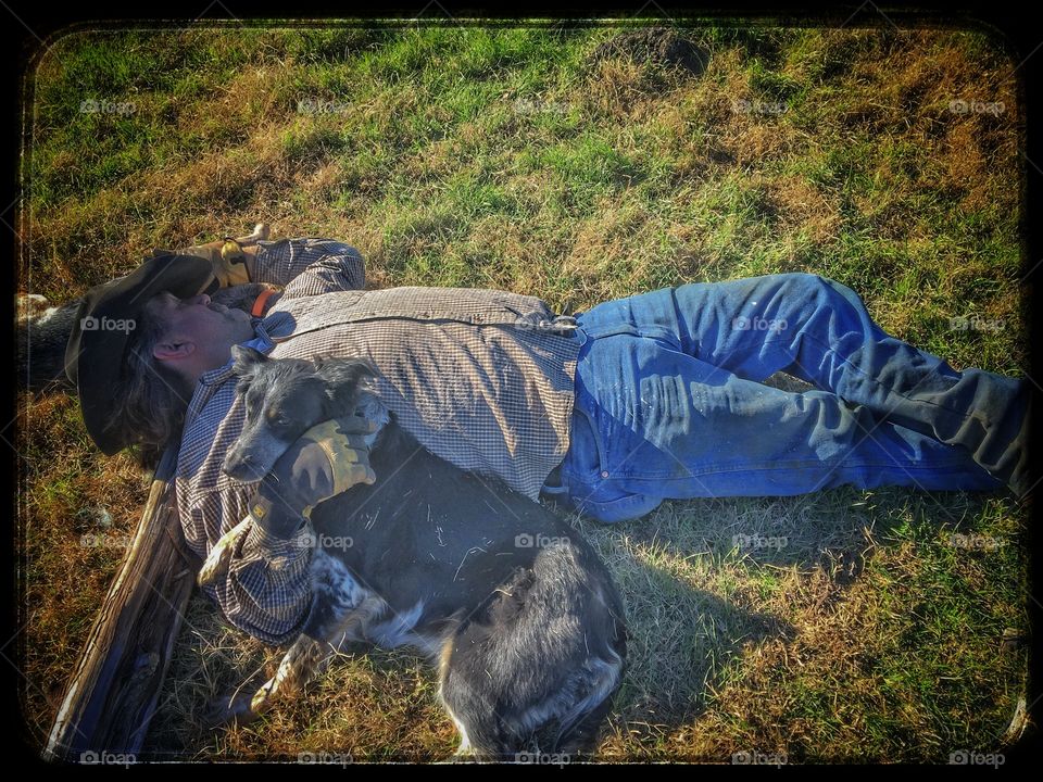 Man lying on grass with dogs