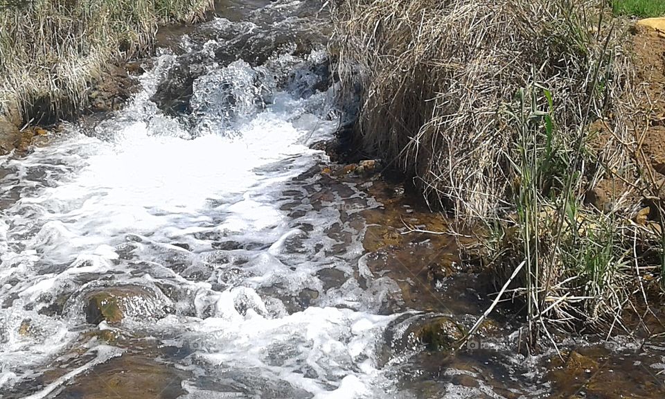 Krugersdorp Game Reserve