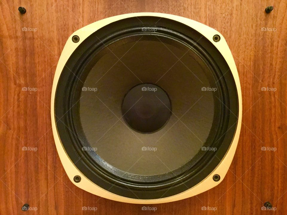 Tannoy SRM-15X