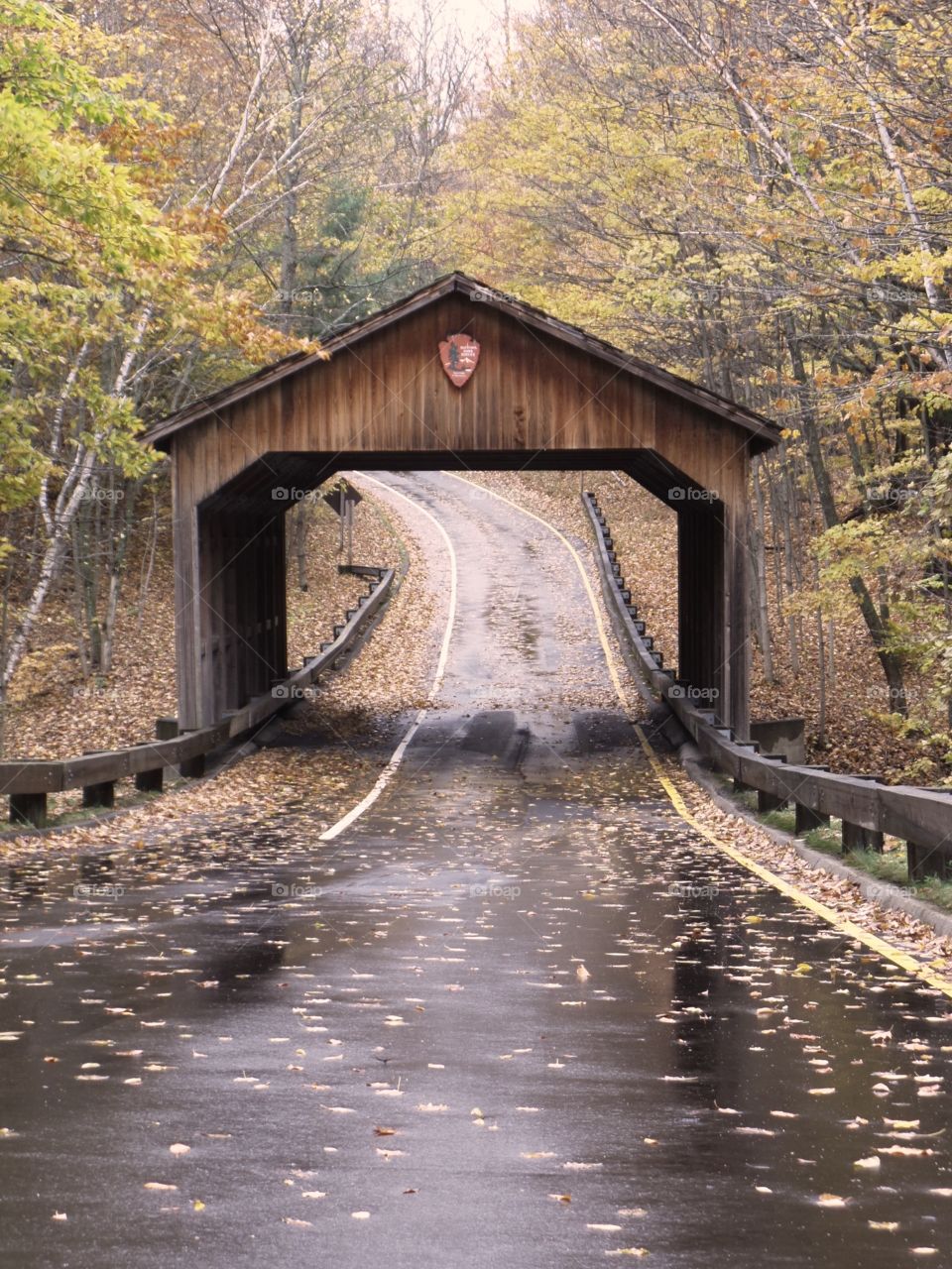 Northern Michigan 