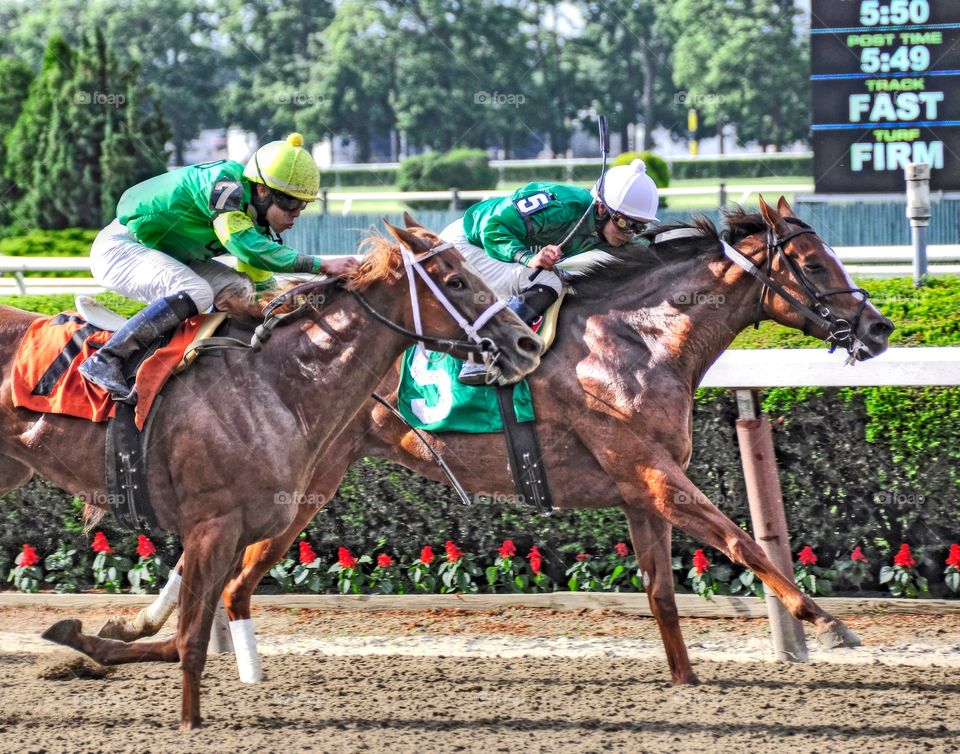 Ortiz brothers Battle it out. . The Ortiz brothers battle to the finish line at Belmont Park. Legal Lady on the outside goes on to win it.
Fleetphoto