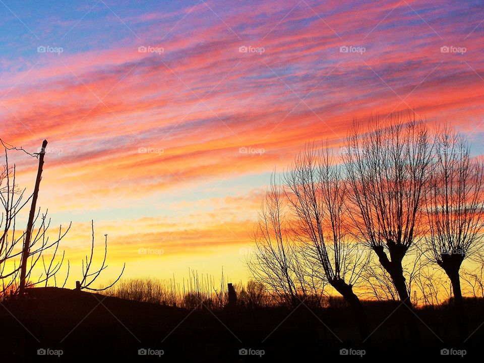 Colors of a sky. Colors of the sky during the golden hour