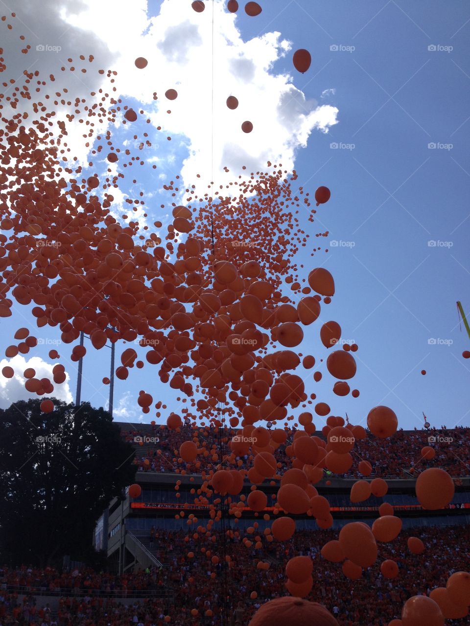 Orange balloons floating into the sky