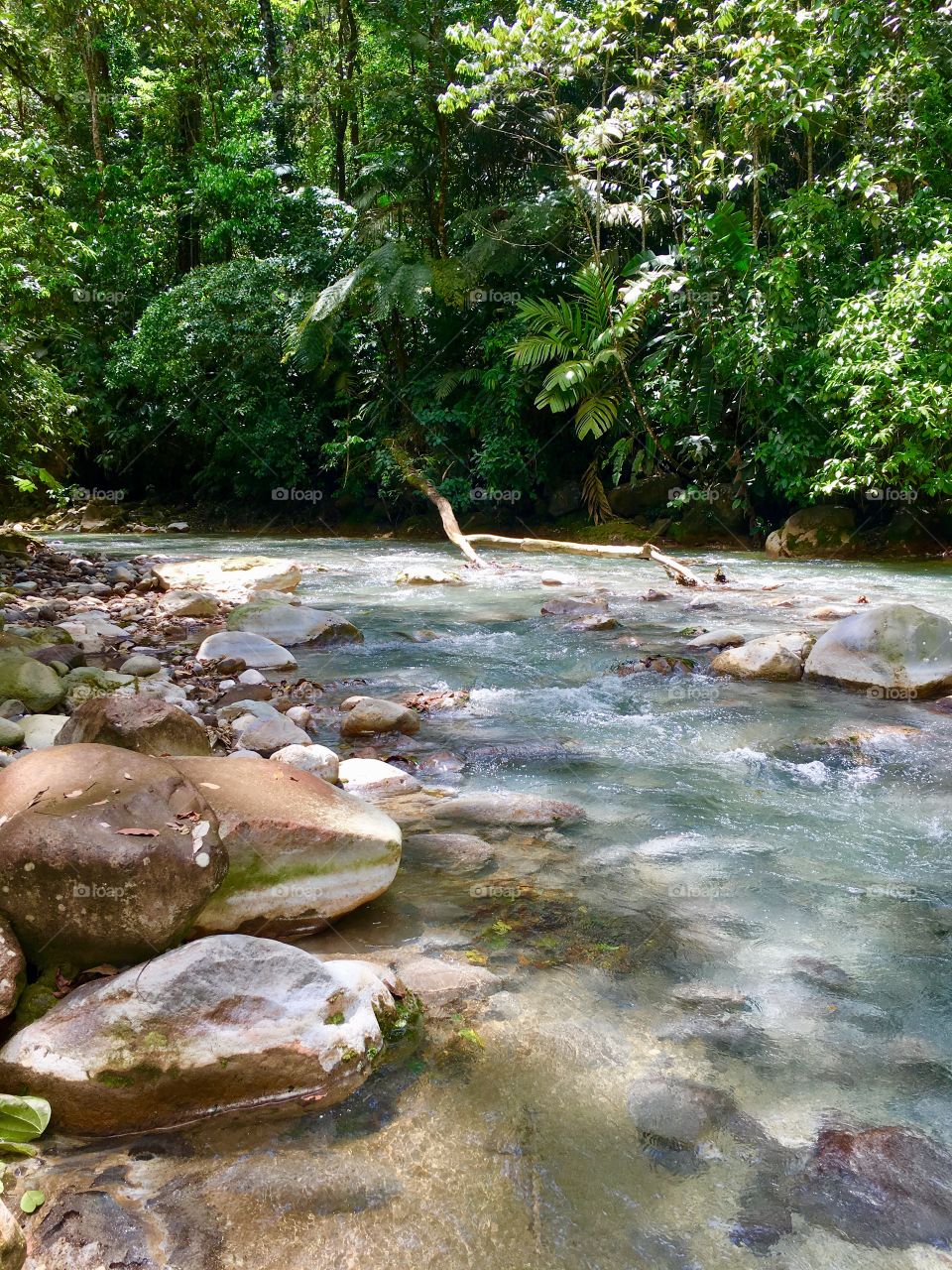 Rincón de la Vieja, Upala, Costa Rica 