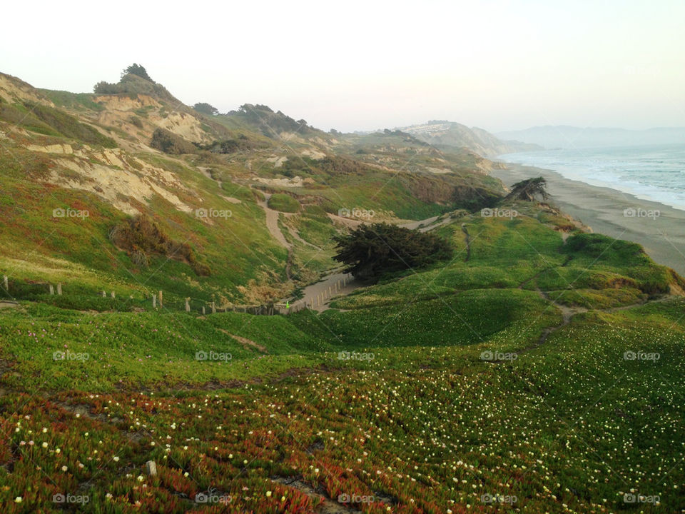 GREEN HILLS ON COAST