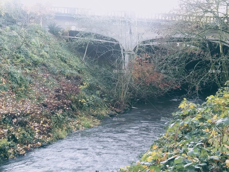 bridge over creek