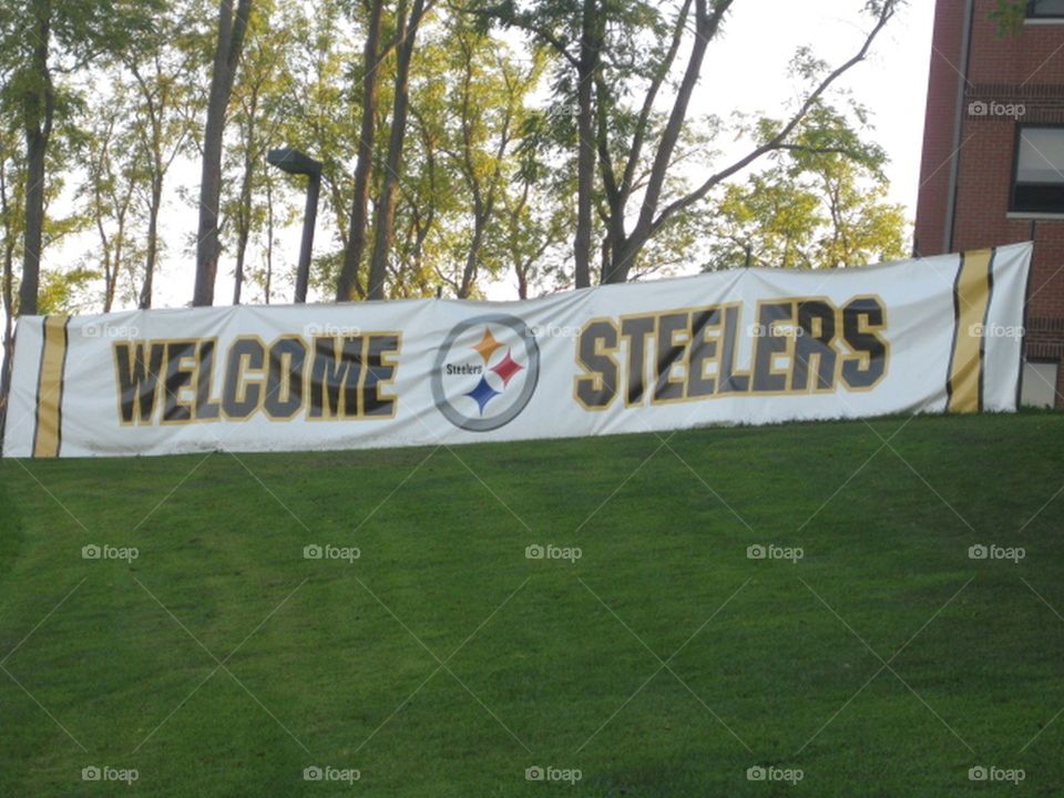 Steelers Camp