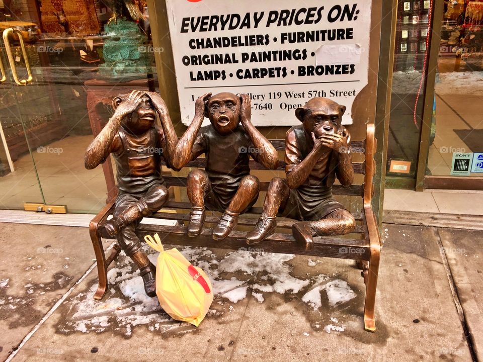 What are you thinking? 🐵