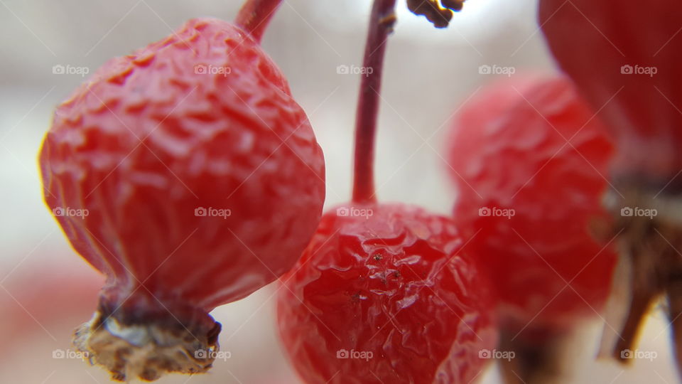 Red berry fruits