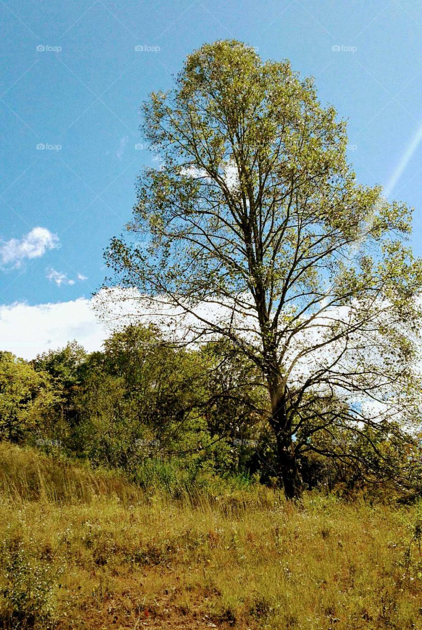 A Country Sky