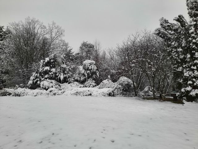 Snow Day