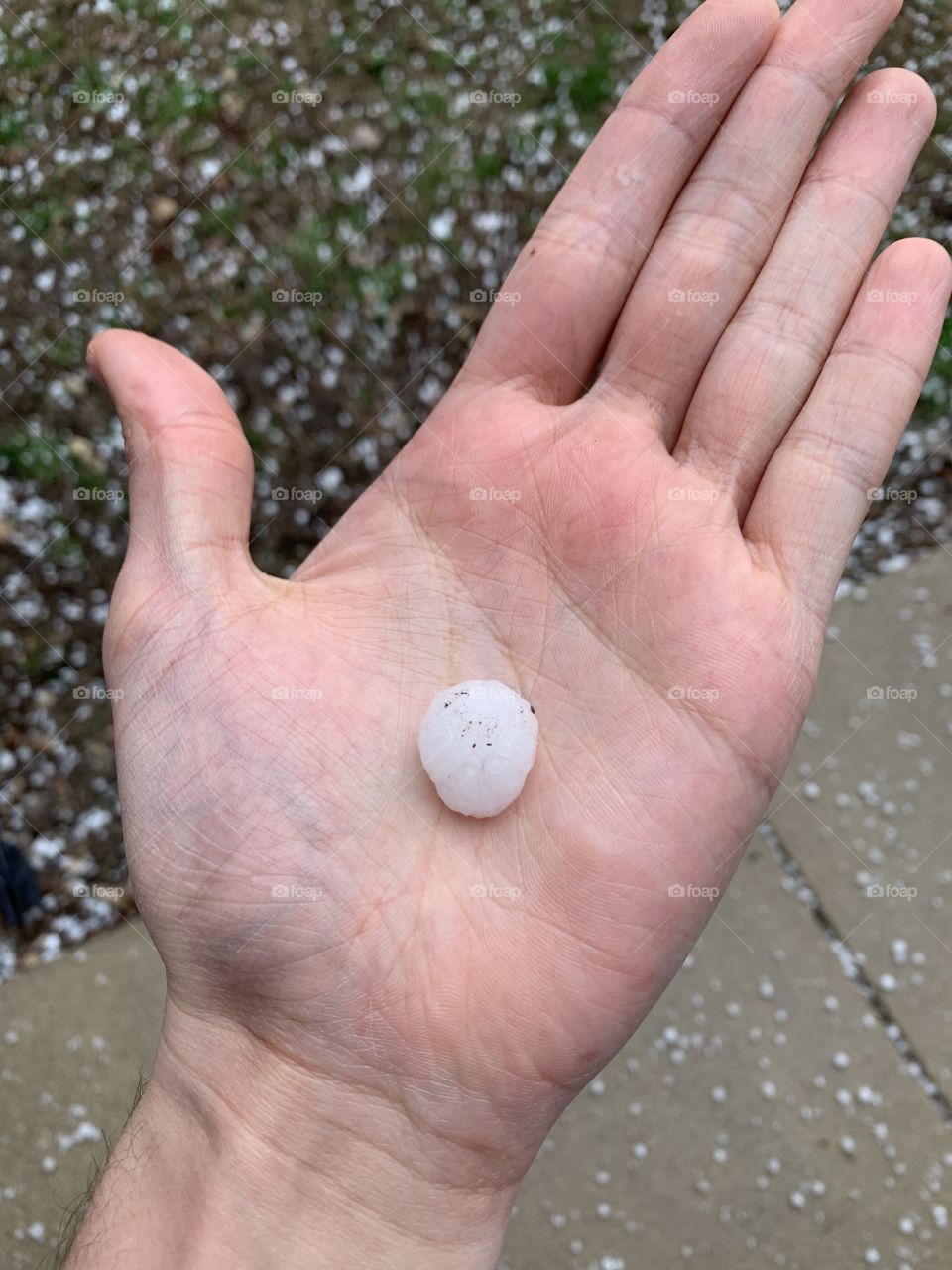 Marble Sized Hail in a Hail Storm