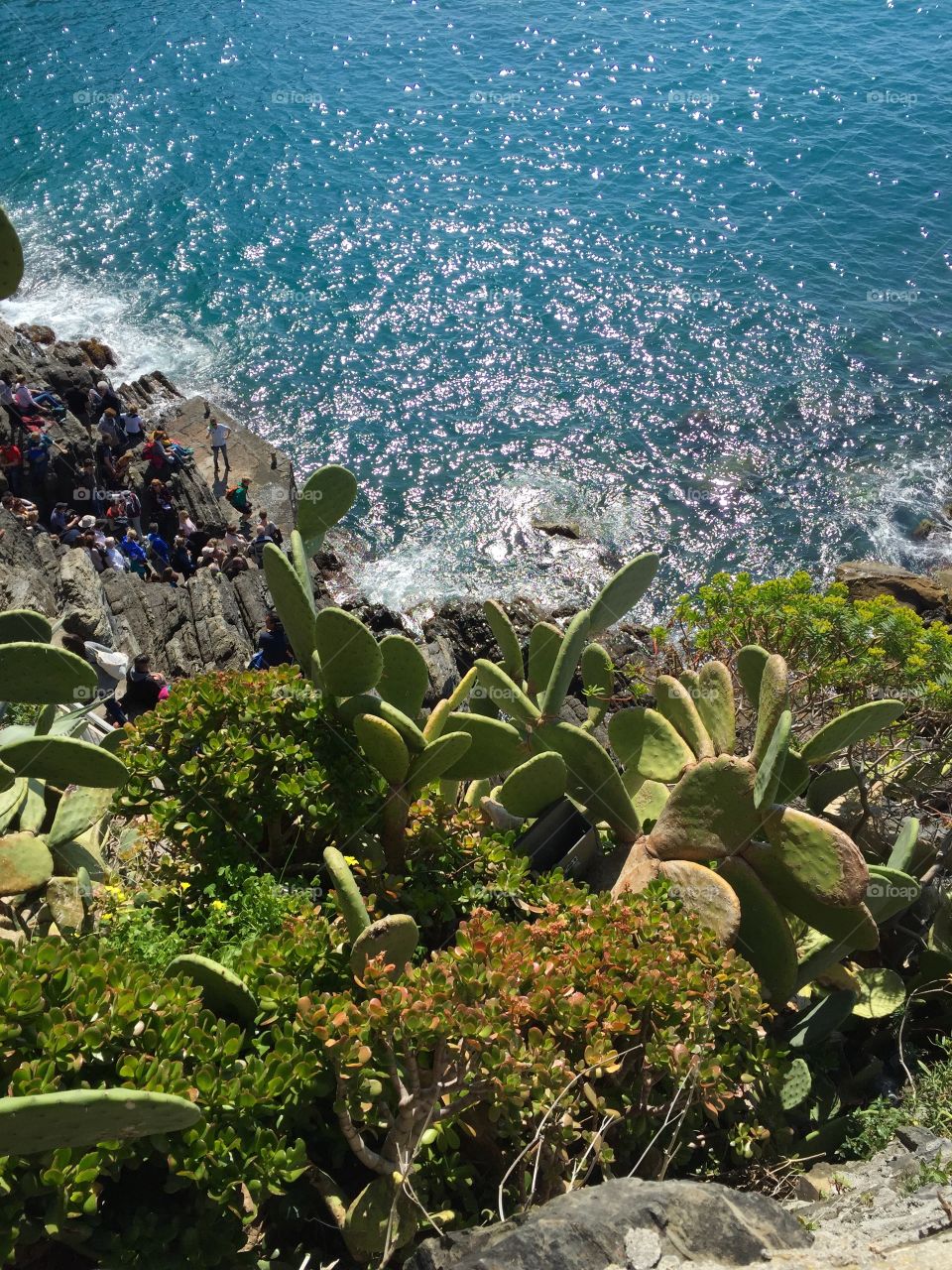 From above. From above