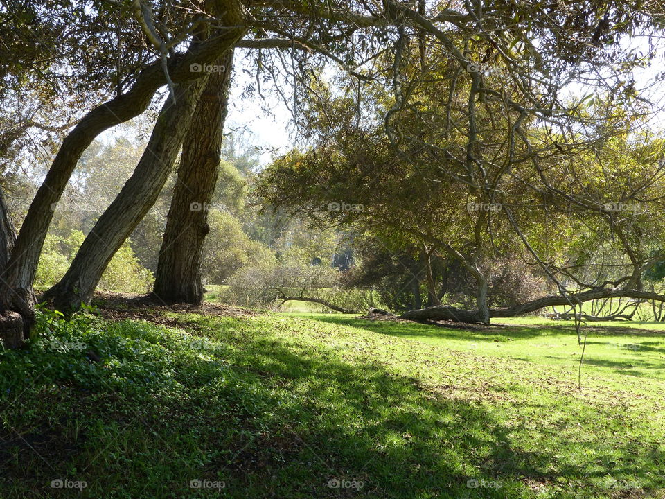 Beautiful view on hike