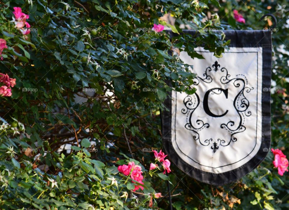 Monogram C flag in rose bush garden. 