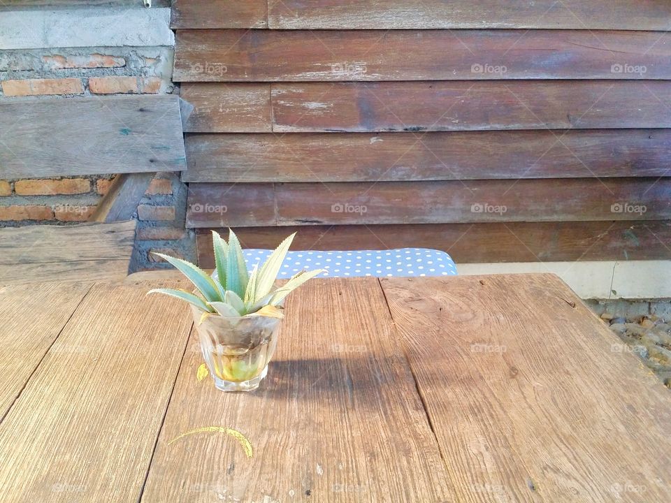 Plant in the glass on the table.