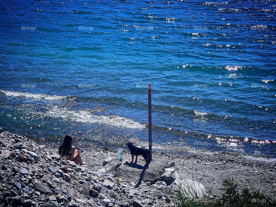 Owners and their dogs.  View from above.  A girl sits on the shore of the blue sea.  A dog runs around the girl along the seashore