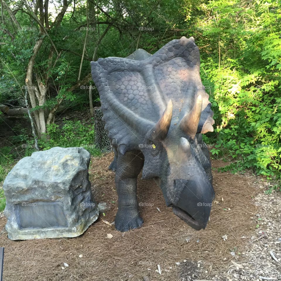Dinosaur mojoceratops statue King's Island, Ohio