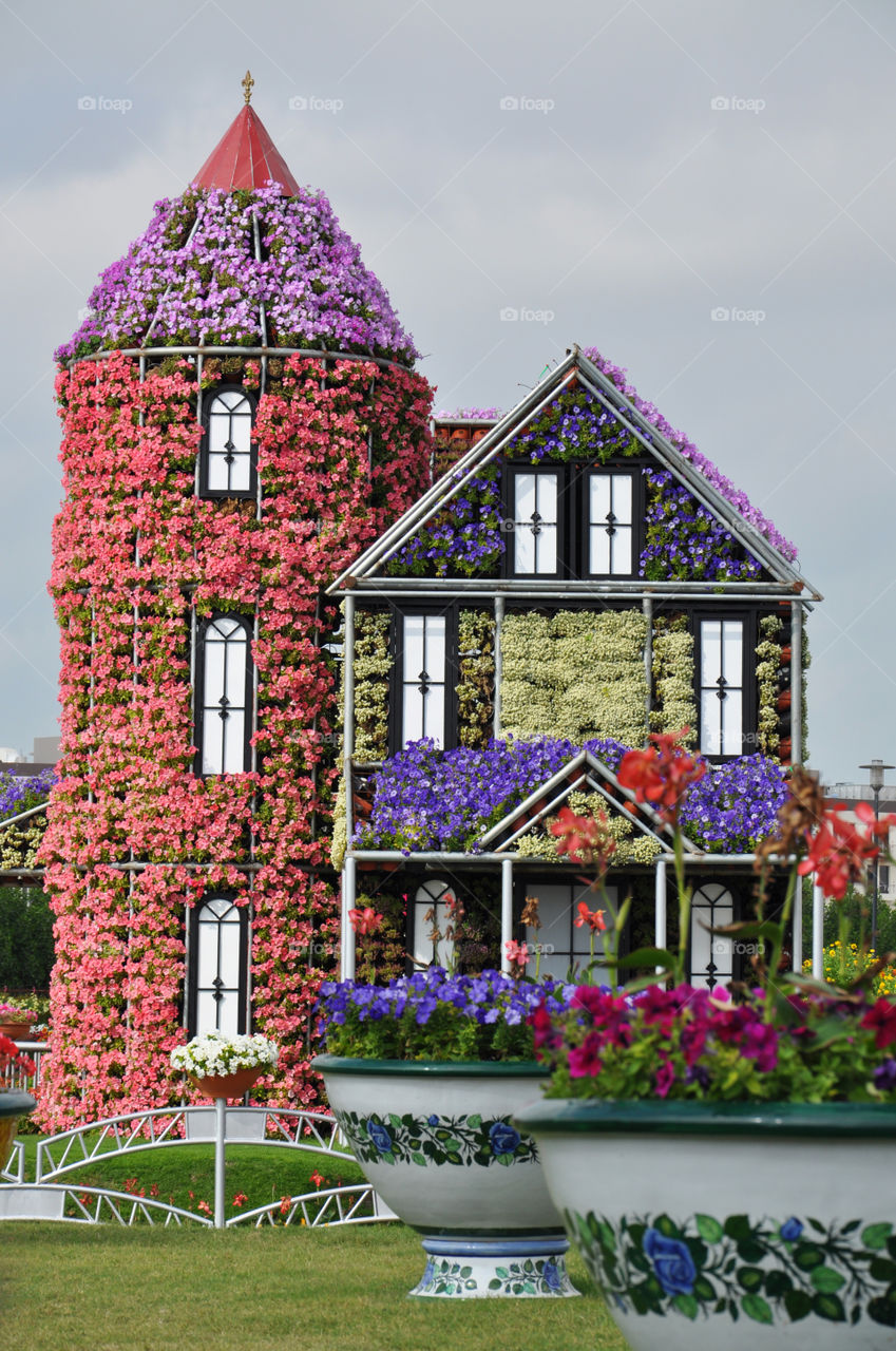 Miracle garden in Dubai 