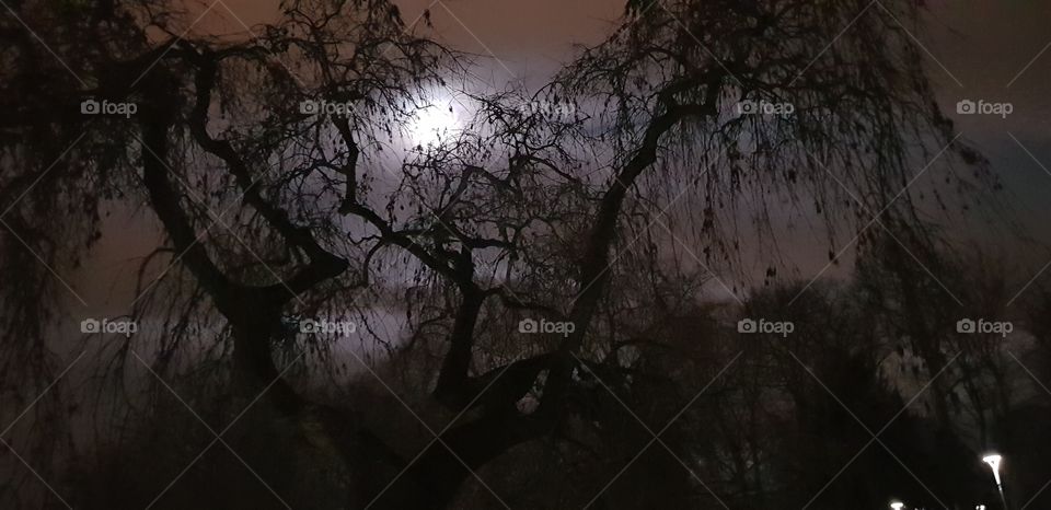 beautiful Oslo Norway