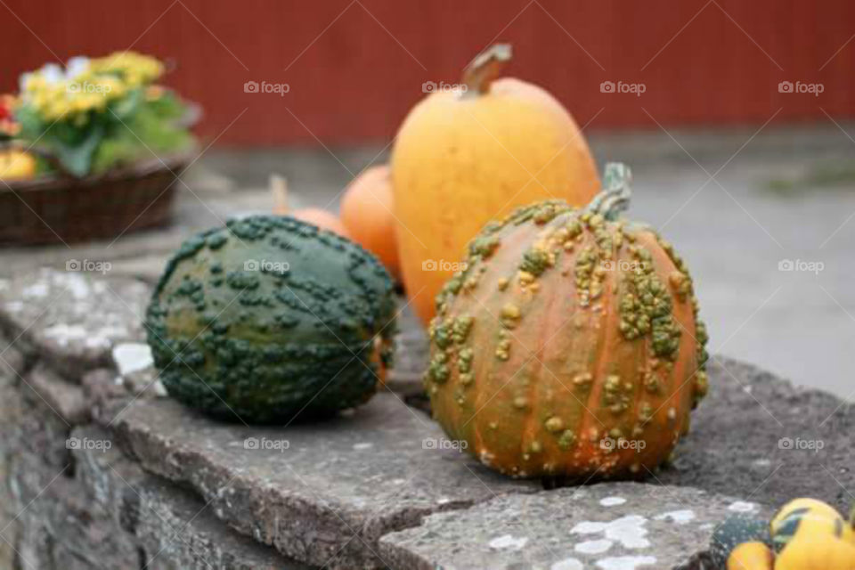 PUMPKINS.