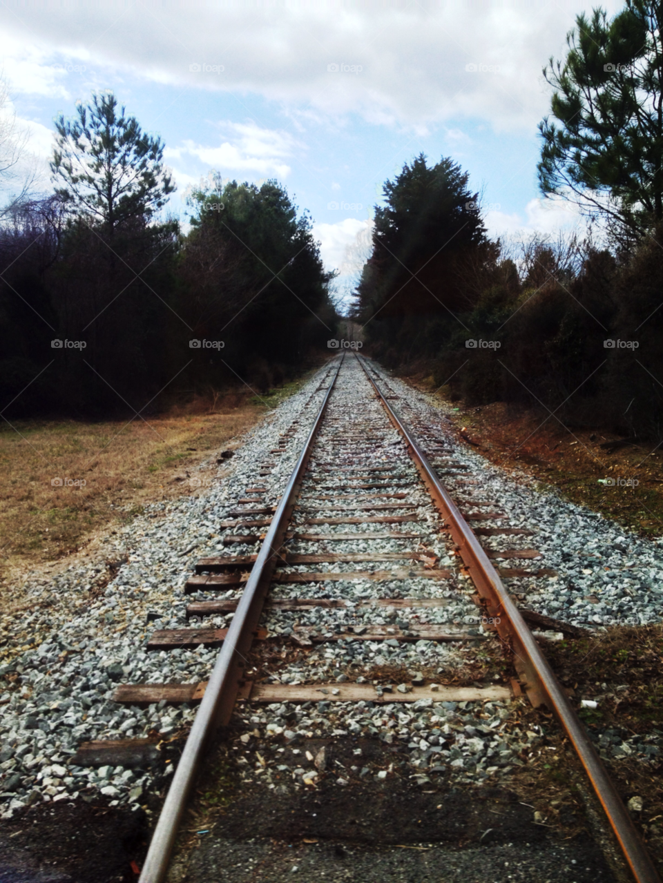 travel trees train walking by indescribable