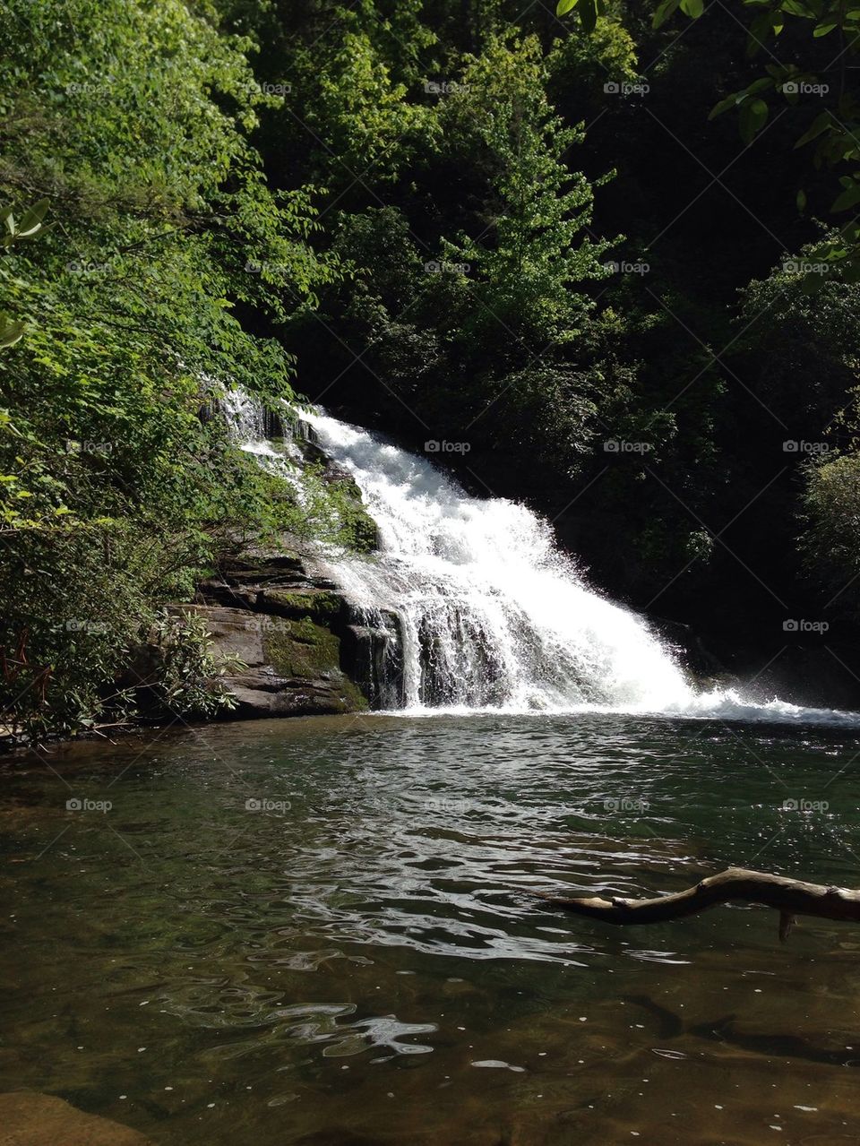 View in waterfall in forest