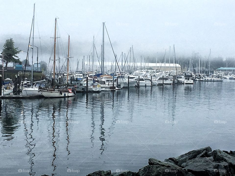 Marina in the fog