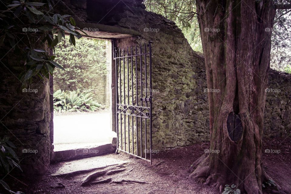 Wood, No Person, Tree, Light, Architecture