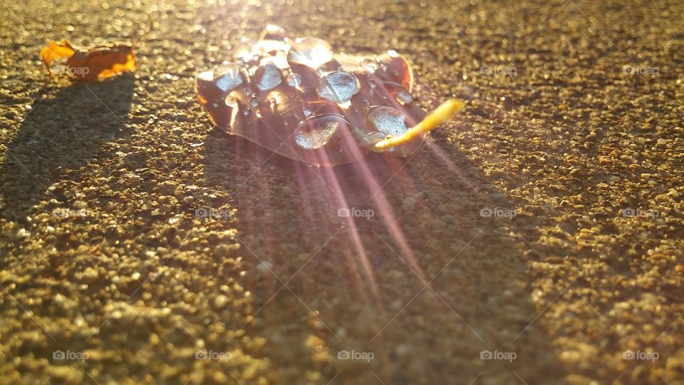 water drops and sun rays