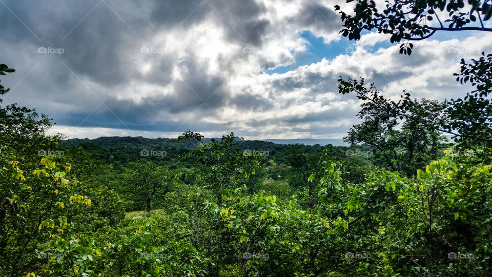 Kruger national park on a cloudy morning, taken from a patio