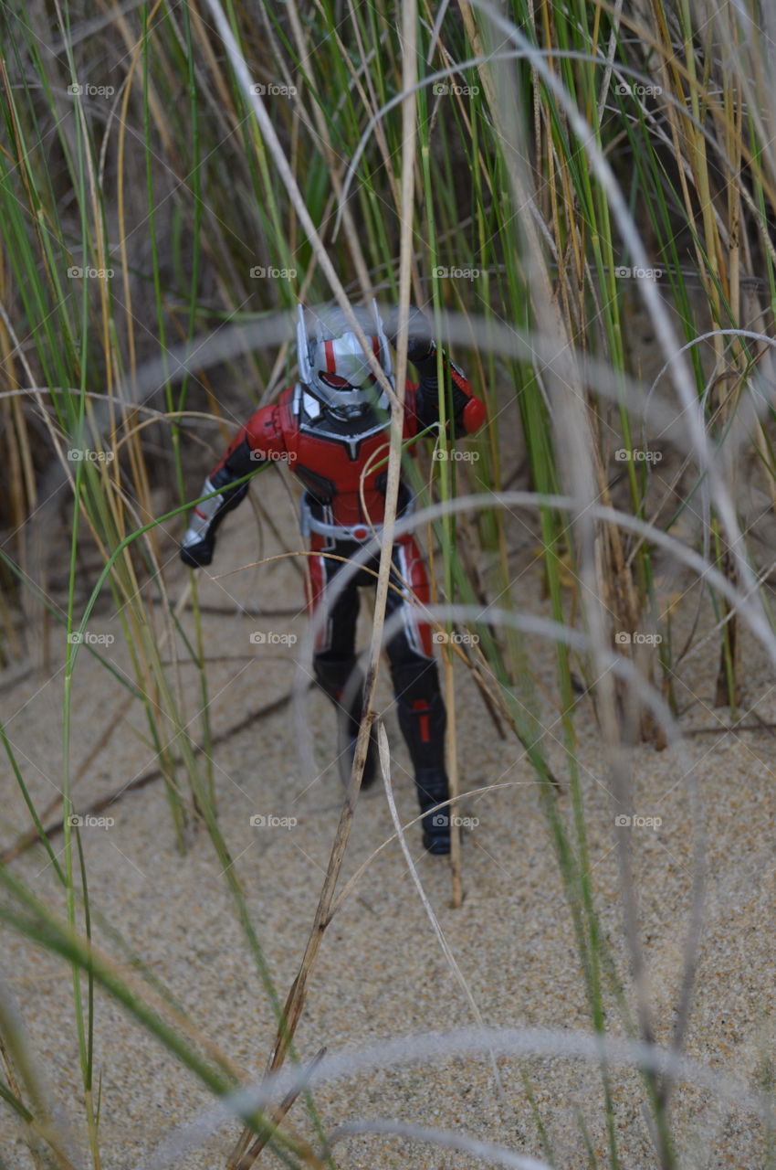 Ant-Man at the Beach