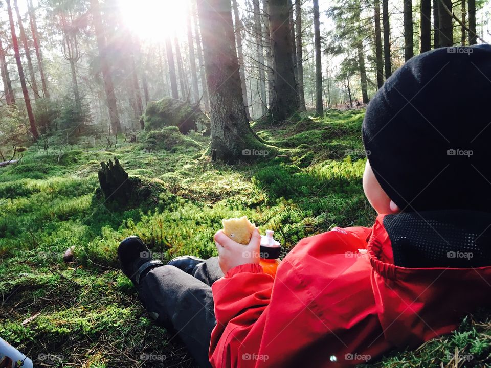 Eating in the forest