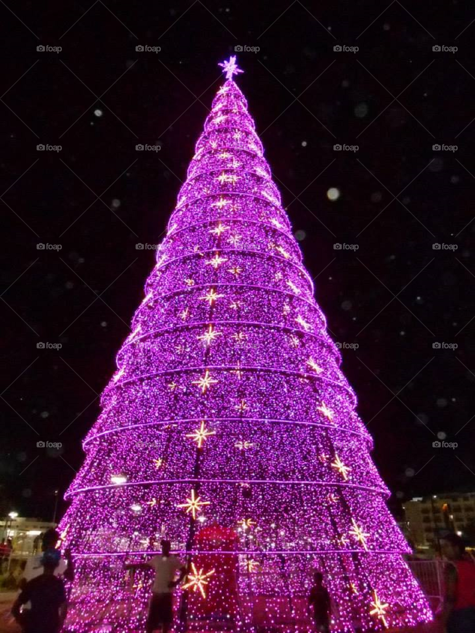Christmas tree pink