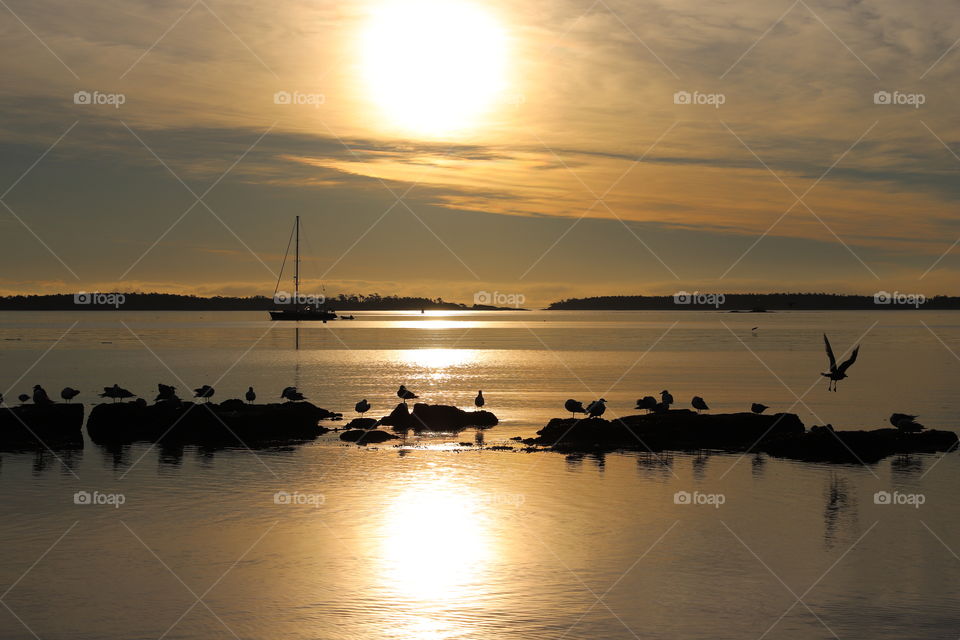 Serene scene of ocean in early morning with birds perching o. The rocks and sun slowly rising above casting its light into the water