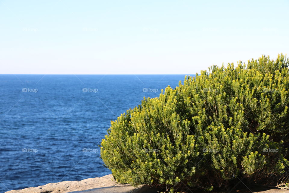 Adventurous sides view