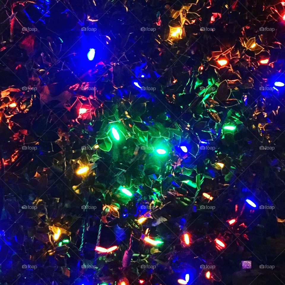 Christmas lights
