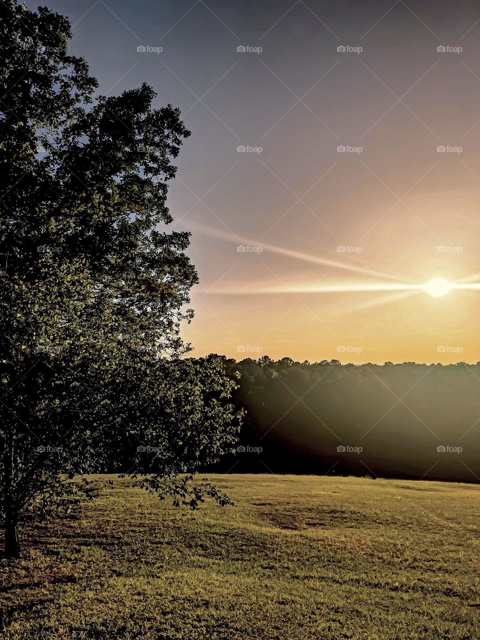 Sunbeams as the Sun sets for the day.