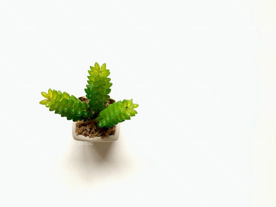 Mini artificial plant pot