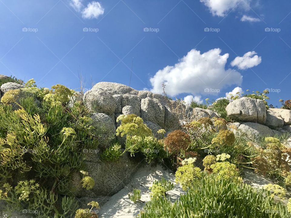Punta Molentis Sardegna 