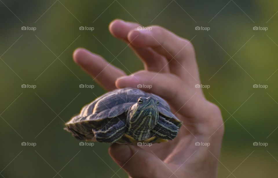 man holding a turtle