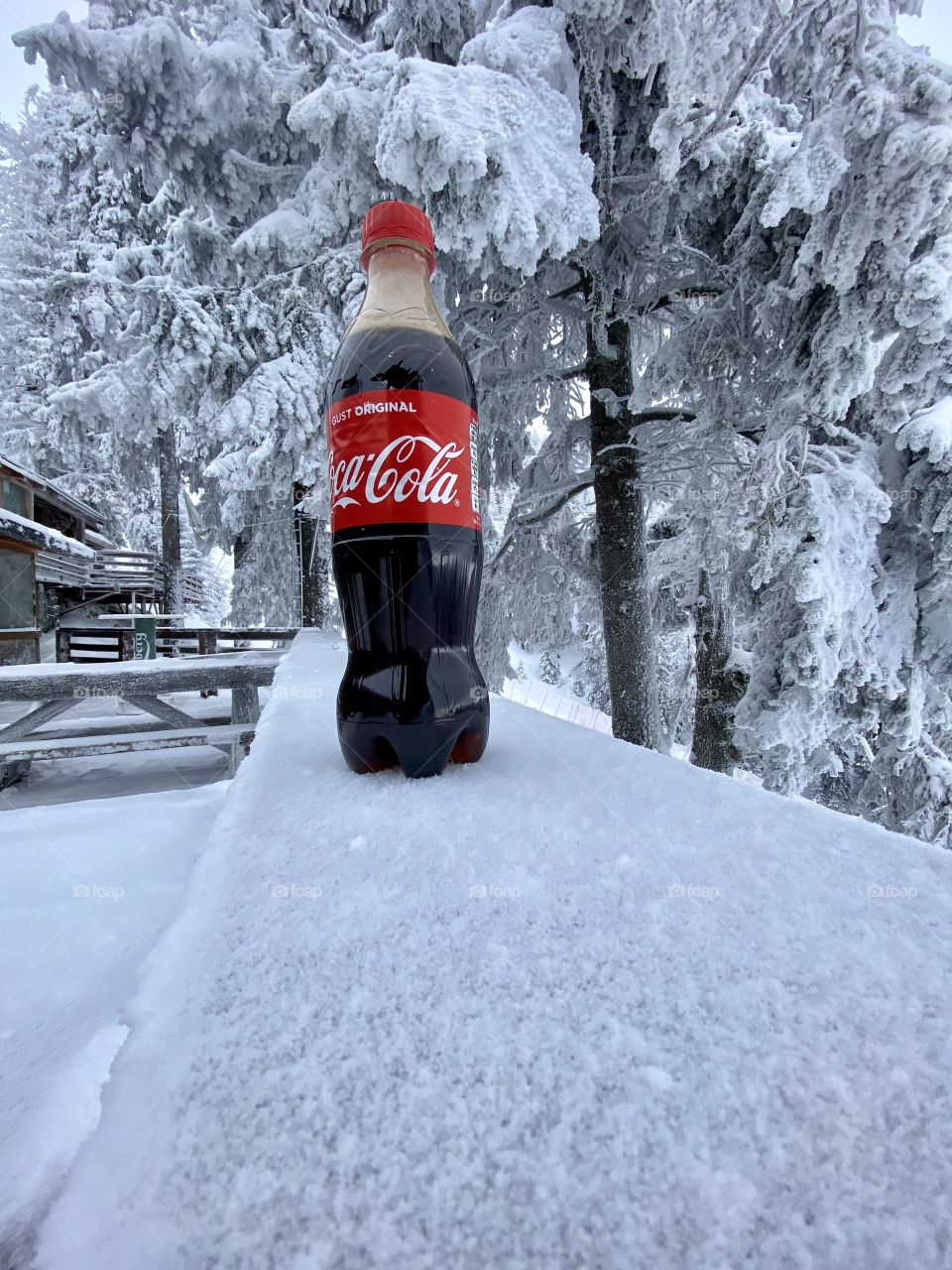 Coke on ice 