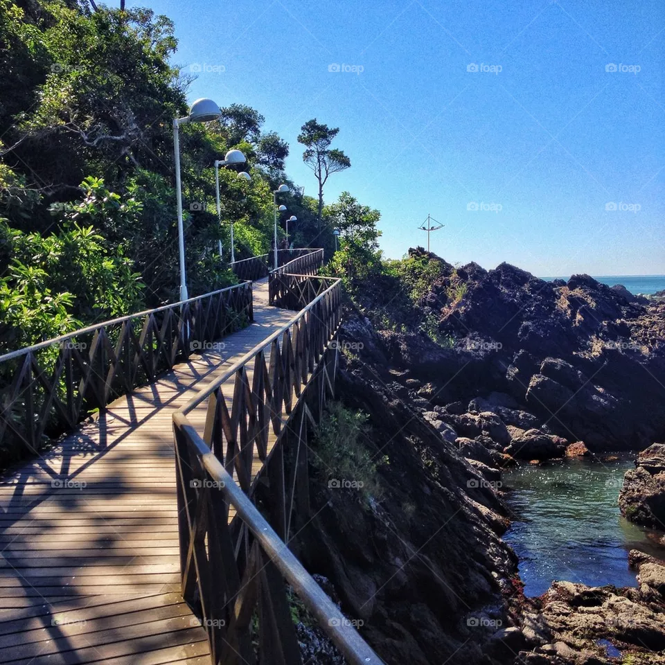 Path