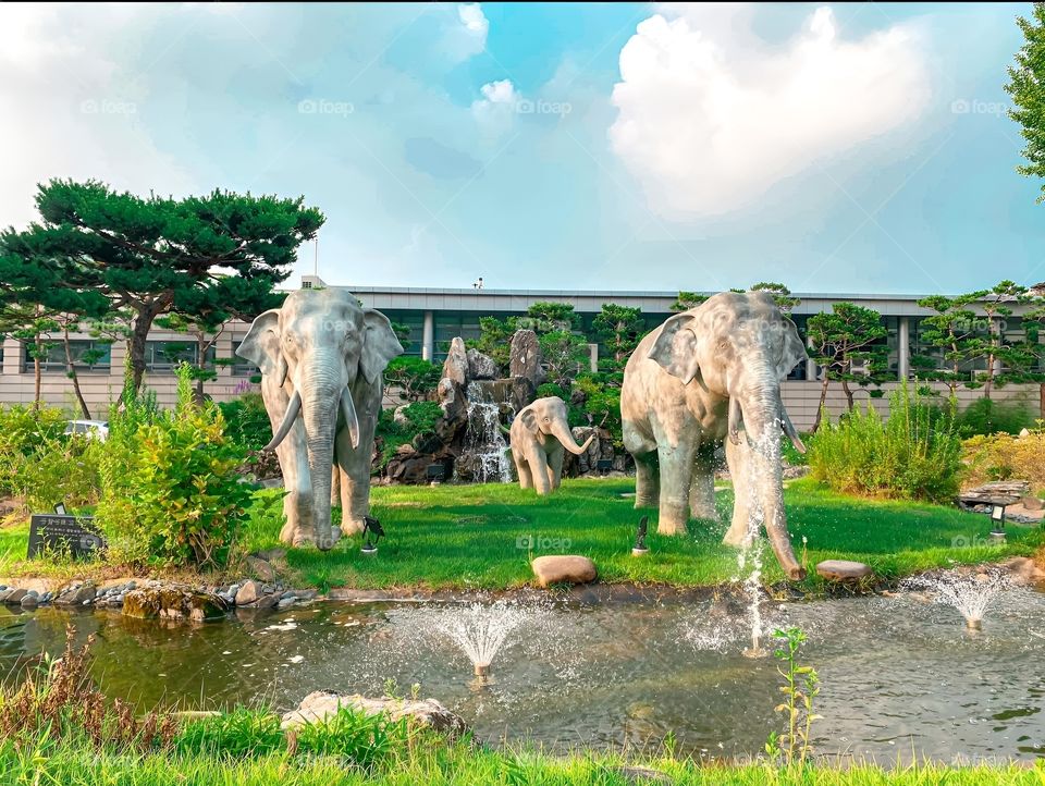 elephant park status