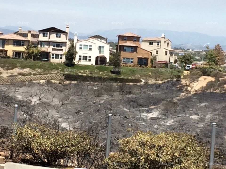 Brush Fire near Homes