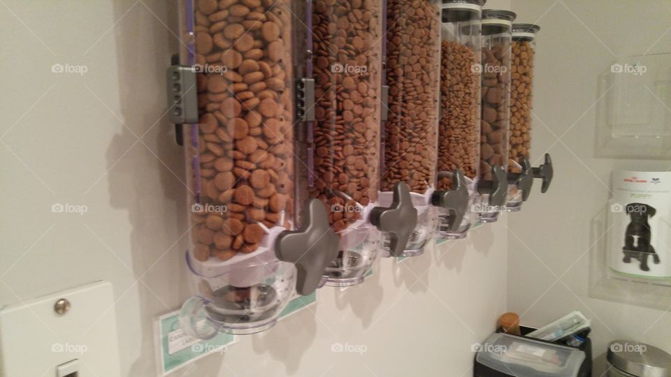 pet food dispensers