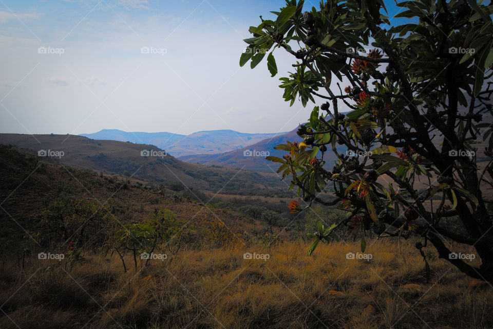 Mount Komati views