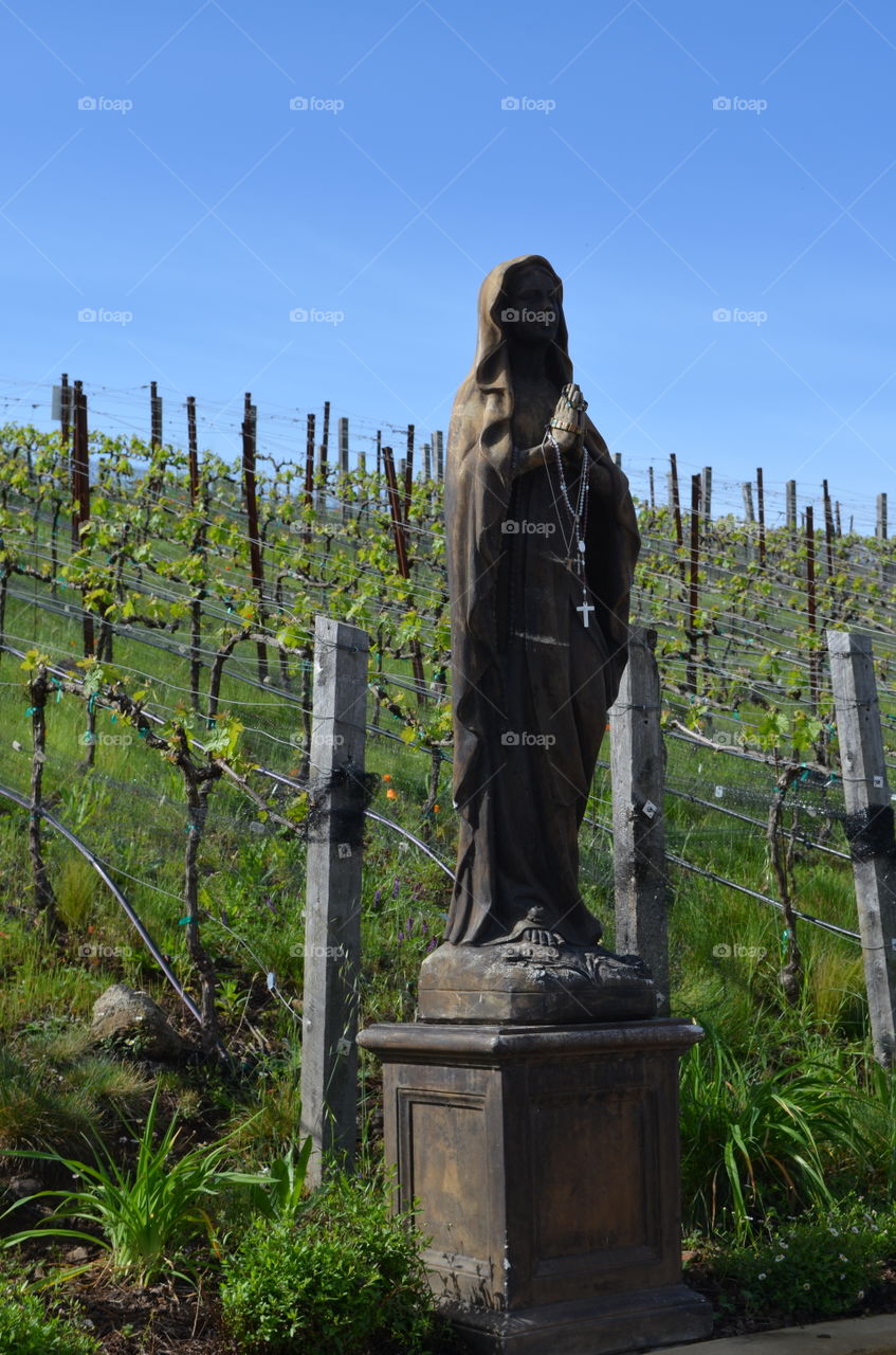Virgin Mary looking out for the vineyard.