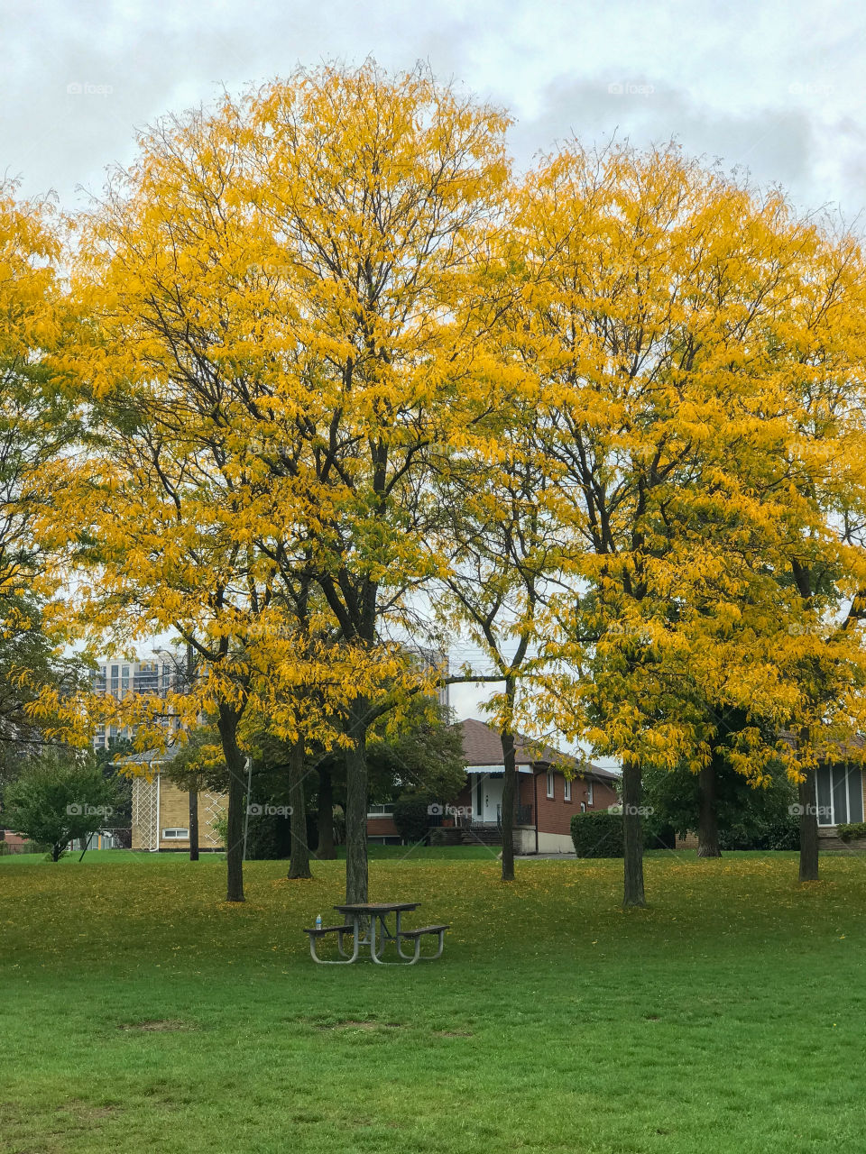 Moods of autumn 