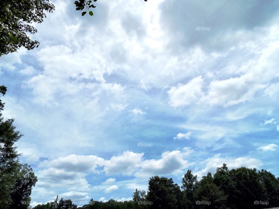 A beautiful cloudy sky on a summer day. 
